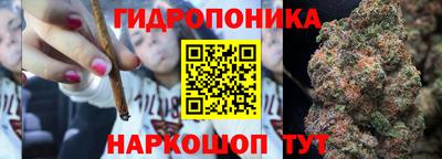 spice Чапаевск