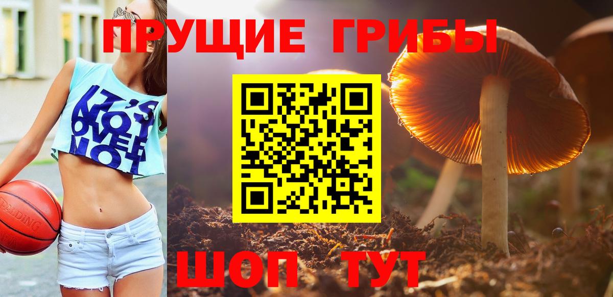 Псилоцибиновые грибы мицелий Белебей