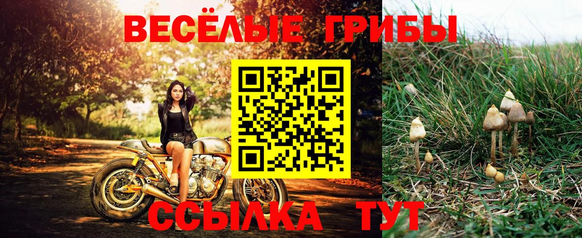 Псилоцибиновые грибы Cubensis  Вход с VPN  Белебей 